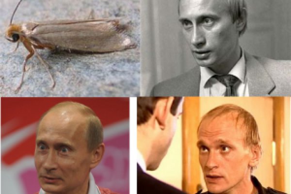 Что с кракеном сегодня сайт