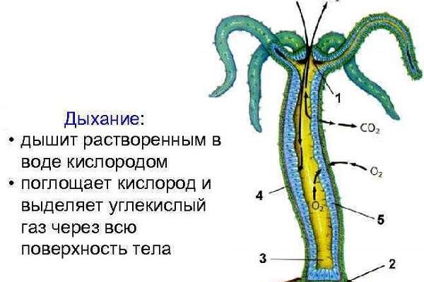 Kra12.at